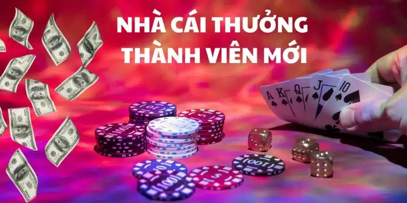 Lý do nên tận dụng ưu đãi từ nhà cái