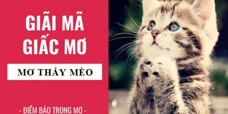 Giấc mơ thấy mèo mang ý nghĩa gì?